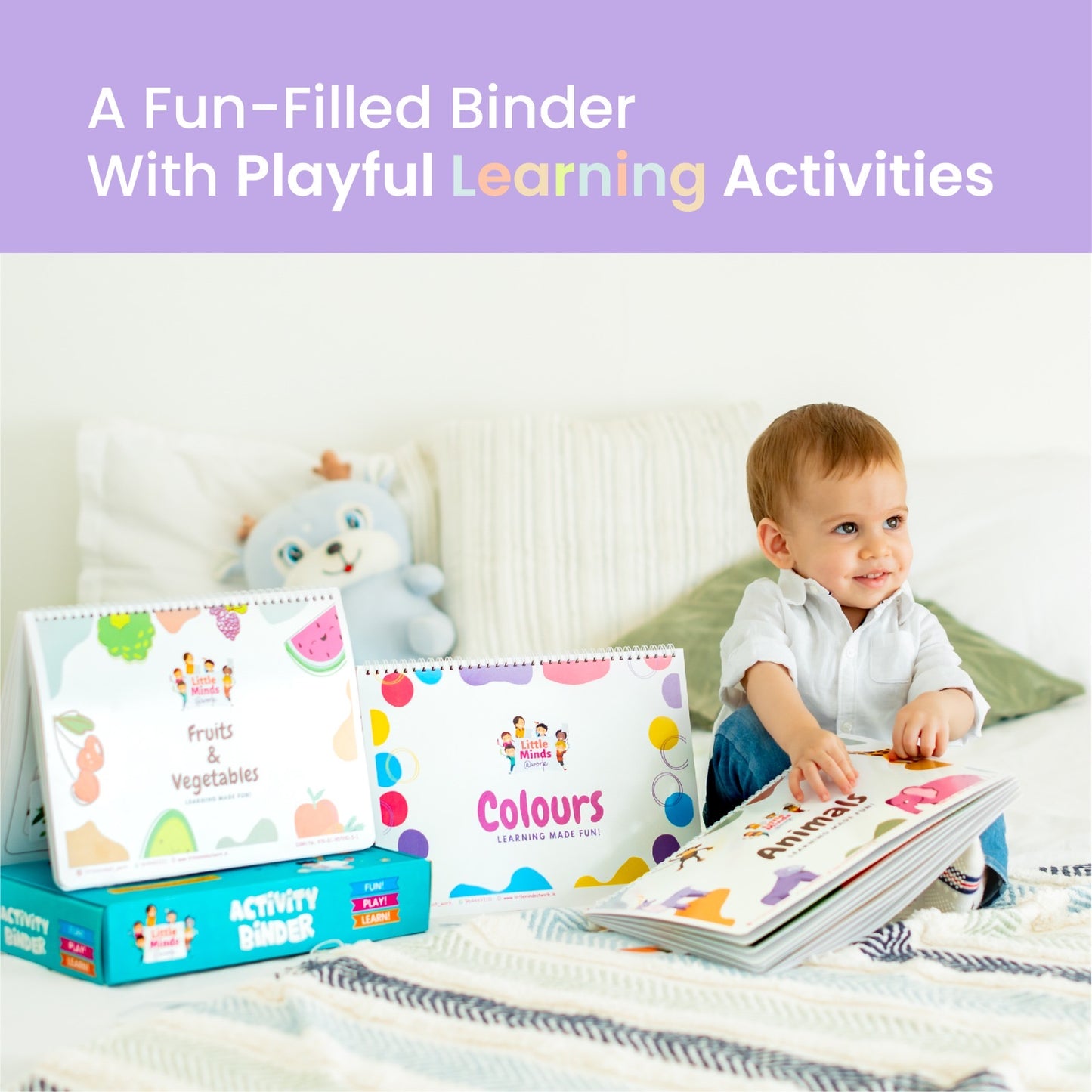 Animals, Fruits & Veg ,Colors Activity Binders