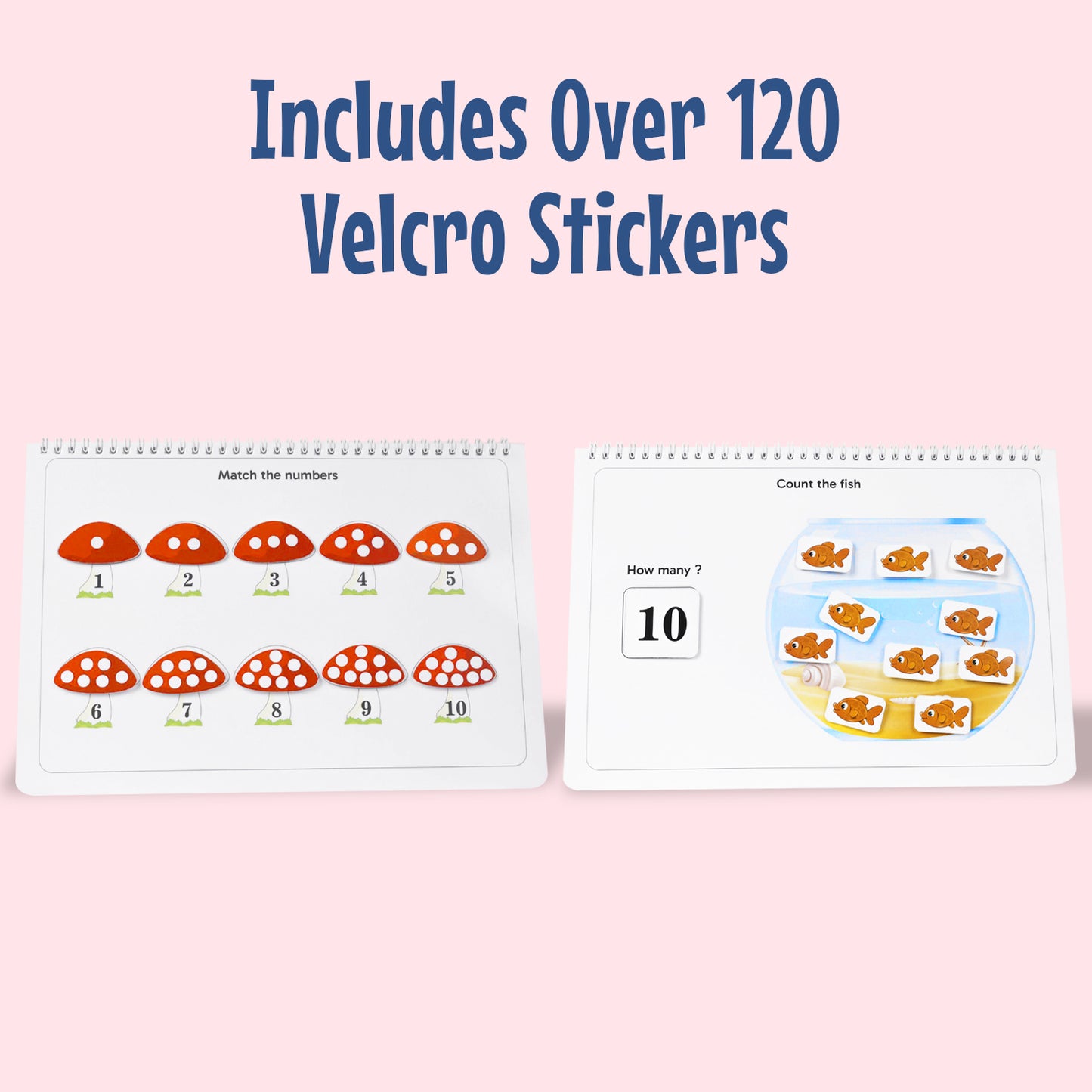 Number Binder (Ages 2 to 5 )