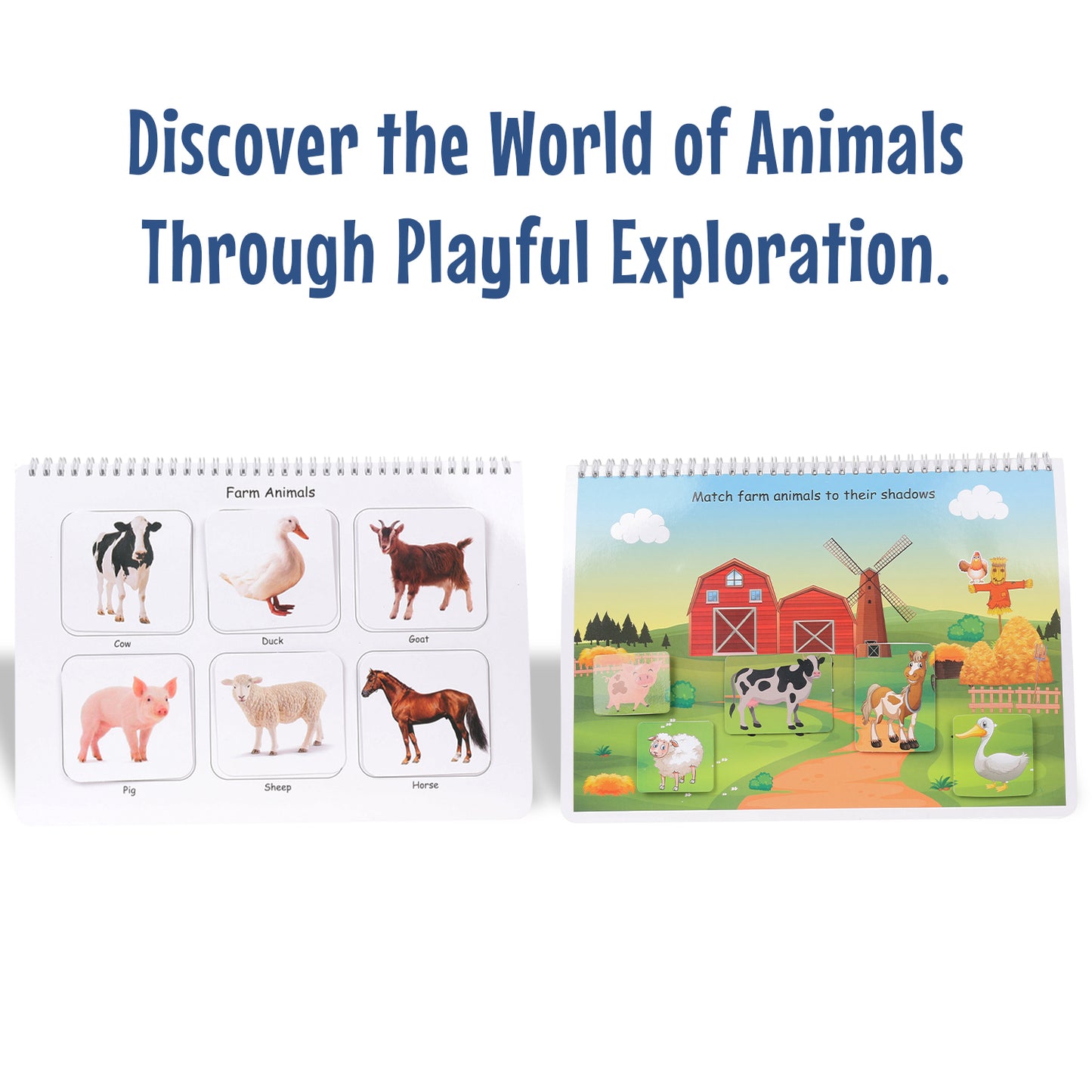 Animals, Fruits & Veg ,Colors Activity Binders