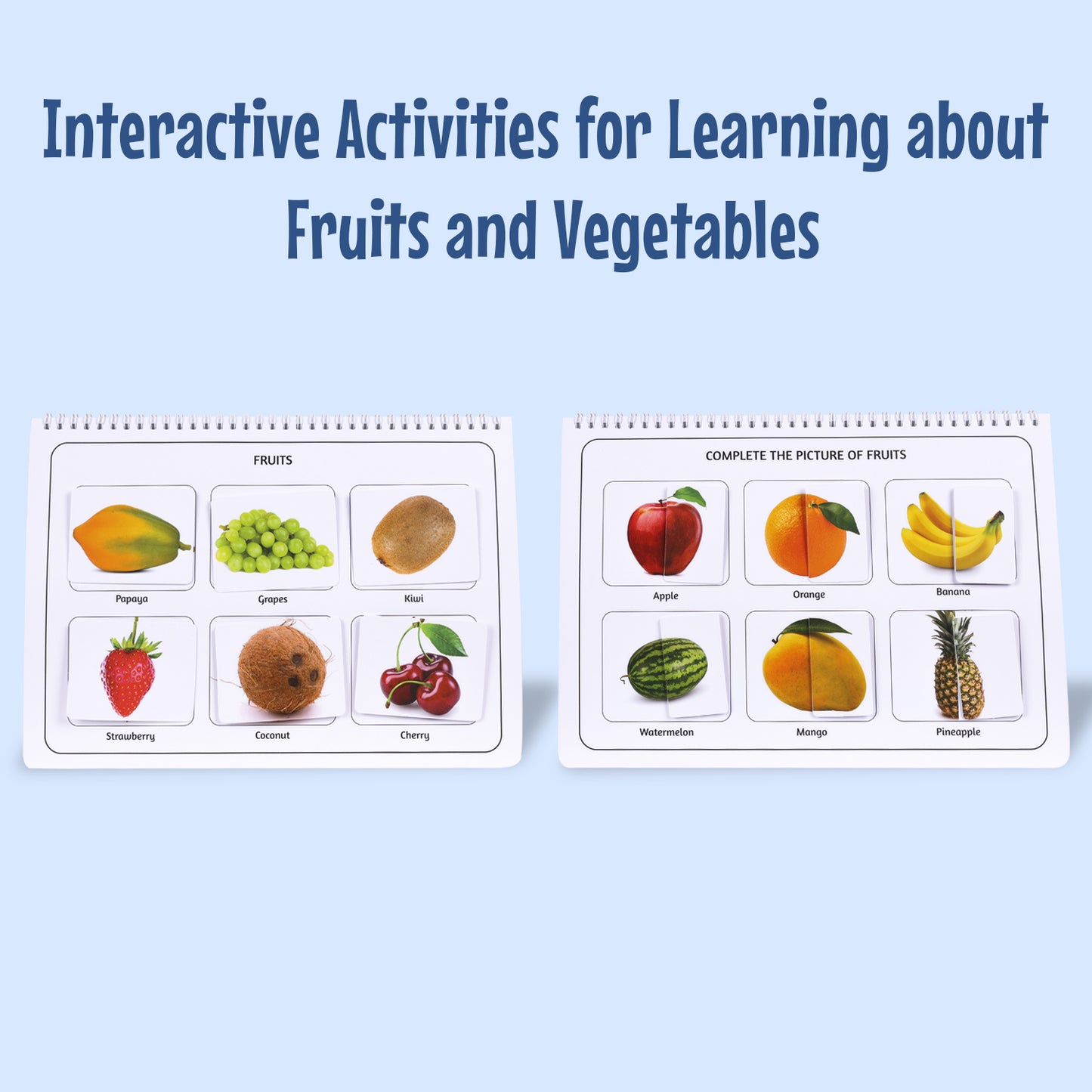 Animals, Fruits & Veg ,Colors Activity Binders
