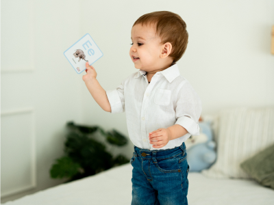 Flashcards