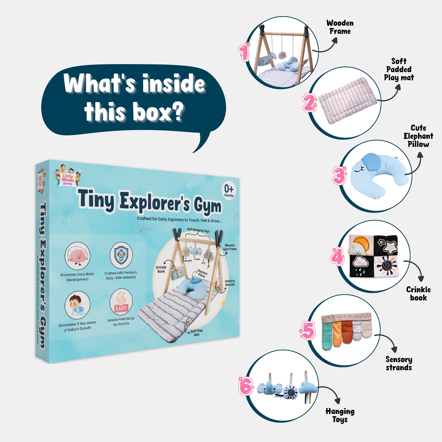 Tiny Explorer’s Play Gym 🌟 ( Pre-order )