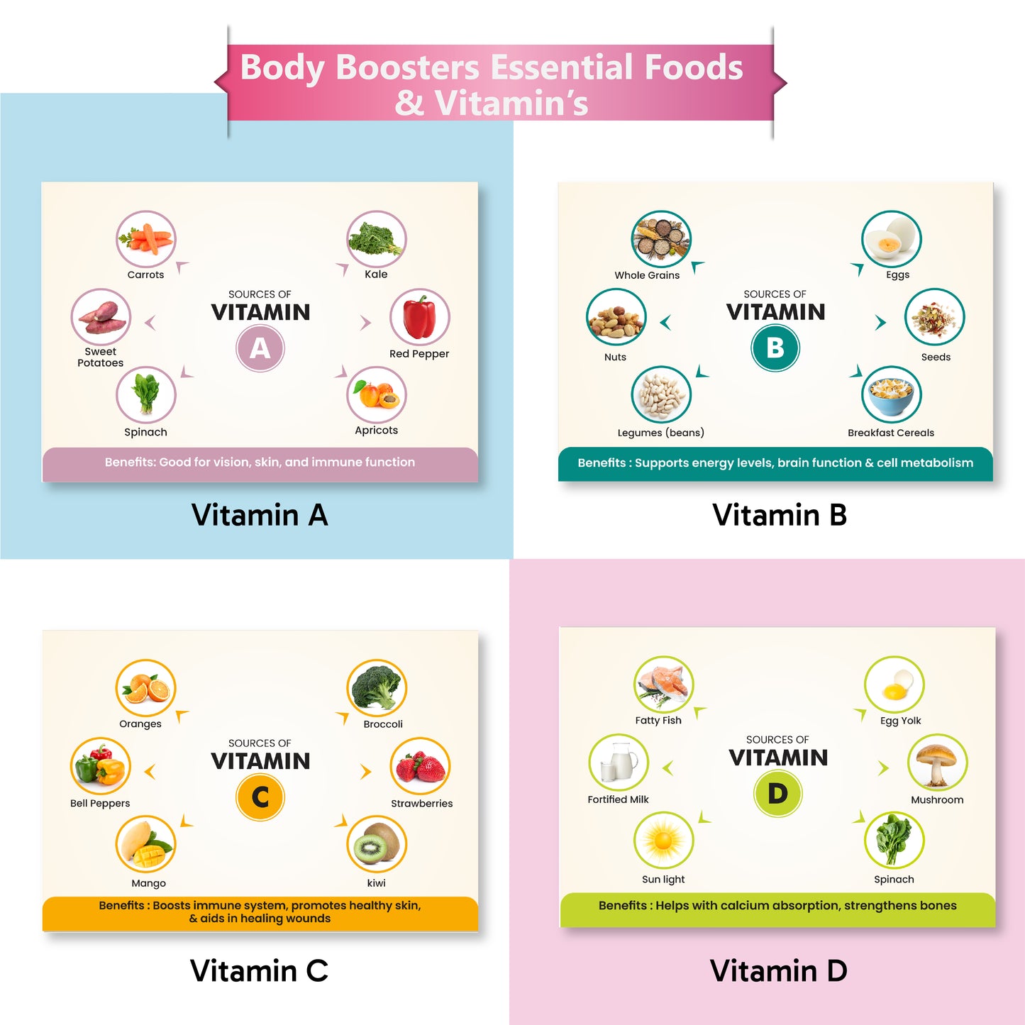 Body Booster’s Activity Binder ( Ages 4 - 6 years )