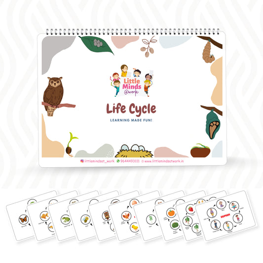 Life Cycle Binder                               (Ages 3 to 6years)