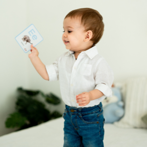 Flash Cards