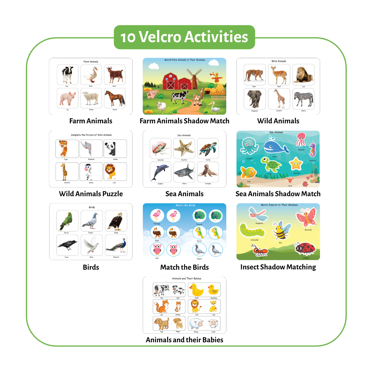 Animal Busy Book (Ages 1 - 4 )