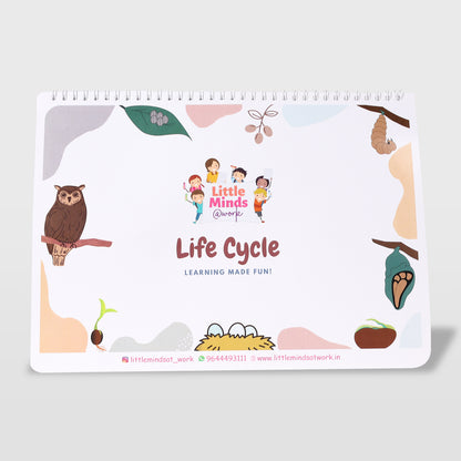 Life Cycle Binder (Ages 3 to 6years)