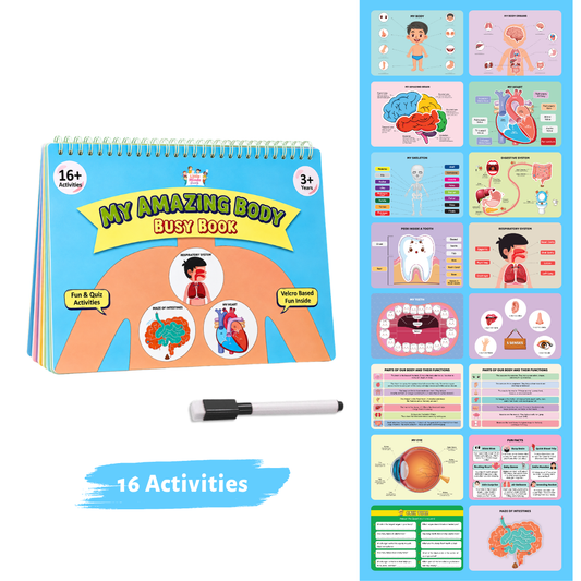 My Amazing Body Busy Book