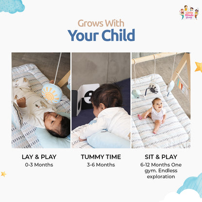 Tiny Explorer’s Play Gym