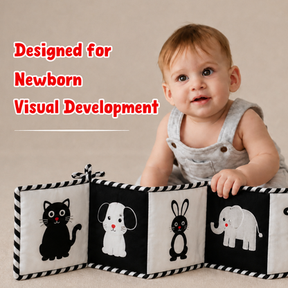 High Contrast Cloth Book (0-6 Months)