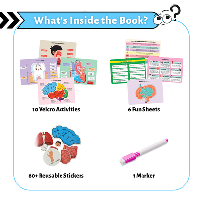 My Amazing Body Busy Book