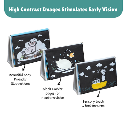 Crinkle Tummy Time Book + Mat (Coming soon)