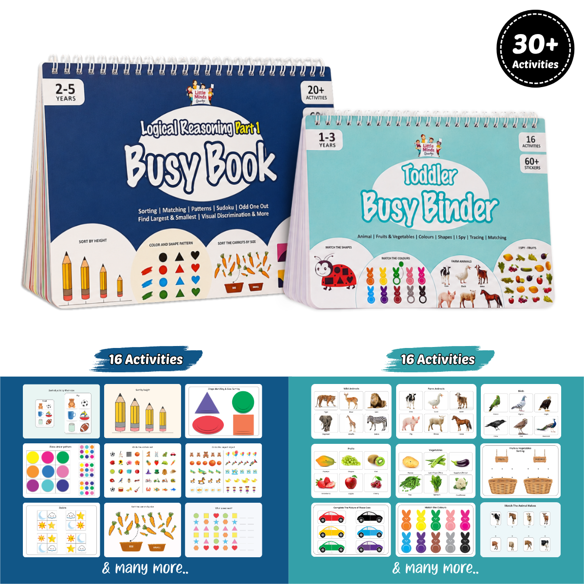Toddler Brain Boost Combo ( Ages 1-4 )