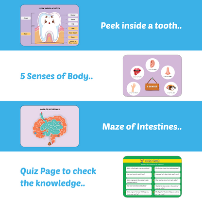 My Amazing Body Busy Book