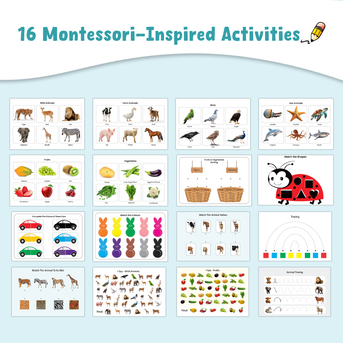 Toddler Brain Boost Combo ( Ages 1-4 )