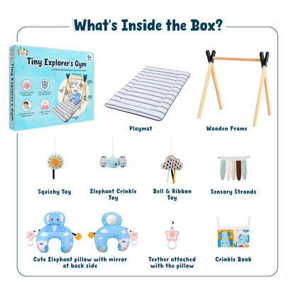 Tiny Explorer’s Play Gym