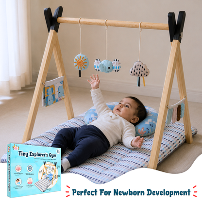 Tiny Explorer’s Play Gym