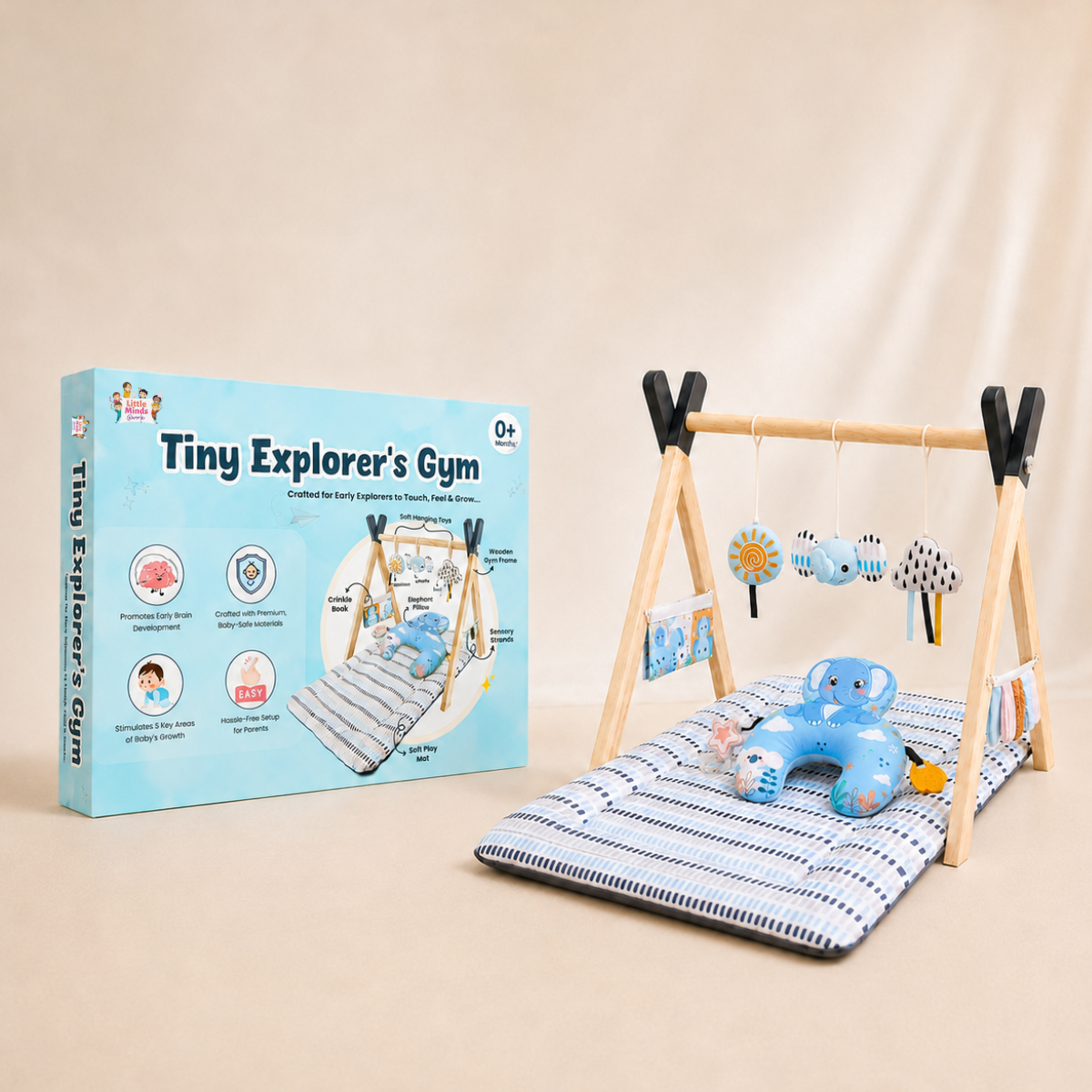 Tiny Explorer’s Play Gym