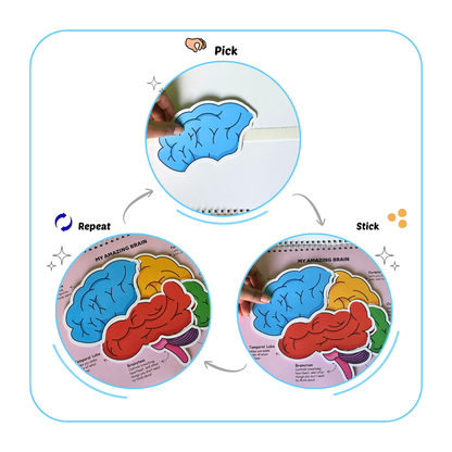 My Amazing Body Busy Book
