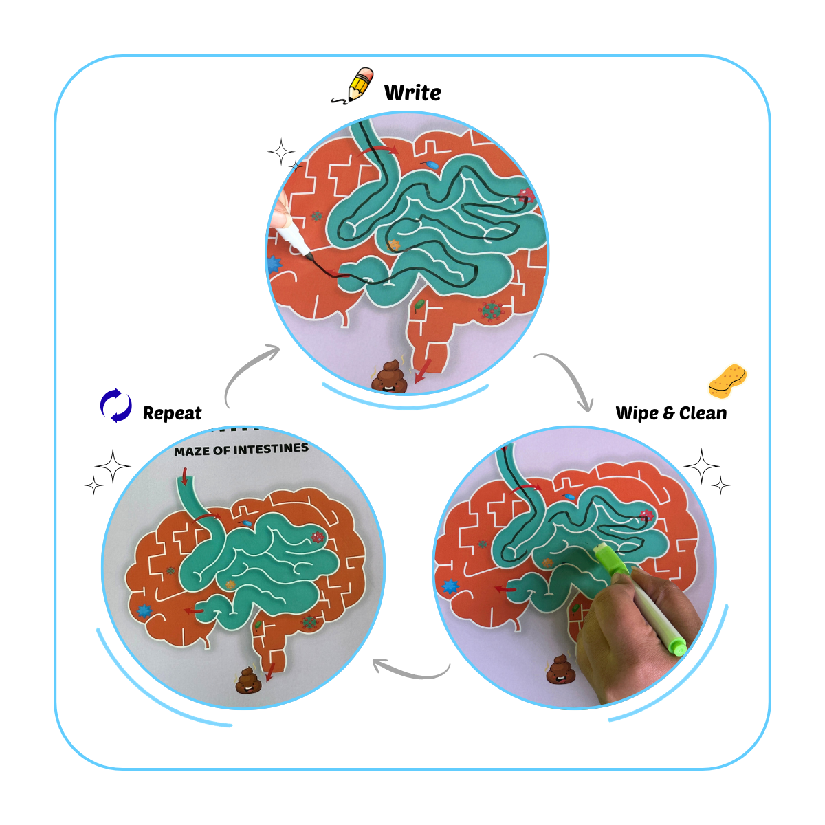 My Amazing Body Busy Book