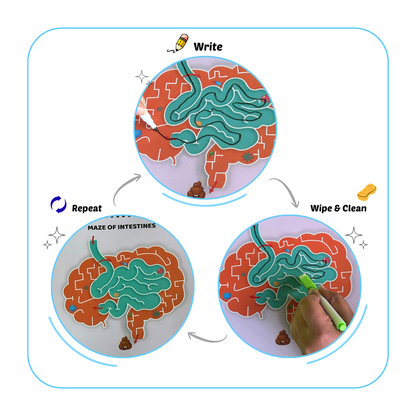 My Amazing Body Busy Book