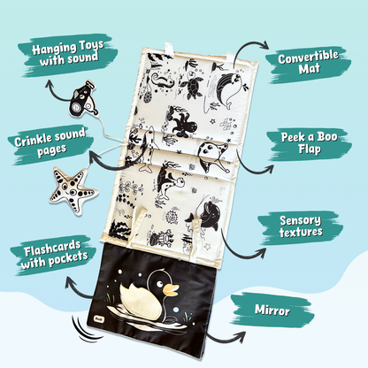 Peek & Tummy Time Combo (Ages 0–18 Months)