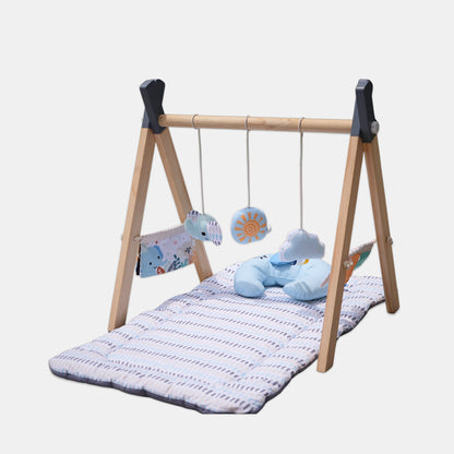 Tiny Explorer’s Play Gym 🌟 ( Pre-order )