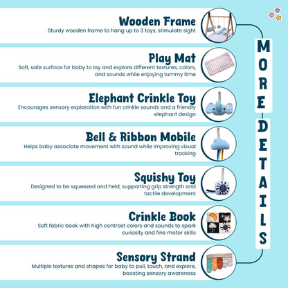 Tiny Explorer’s Play Gym 🌟 ( Pre-order )