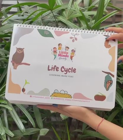 Life Cycle Binder (Ages 3 to 6years)